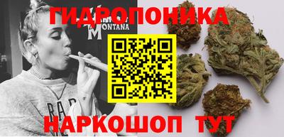 дмт Свободный