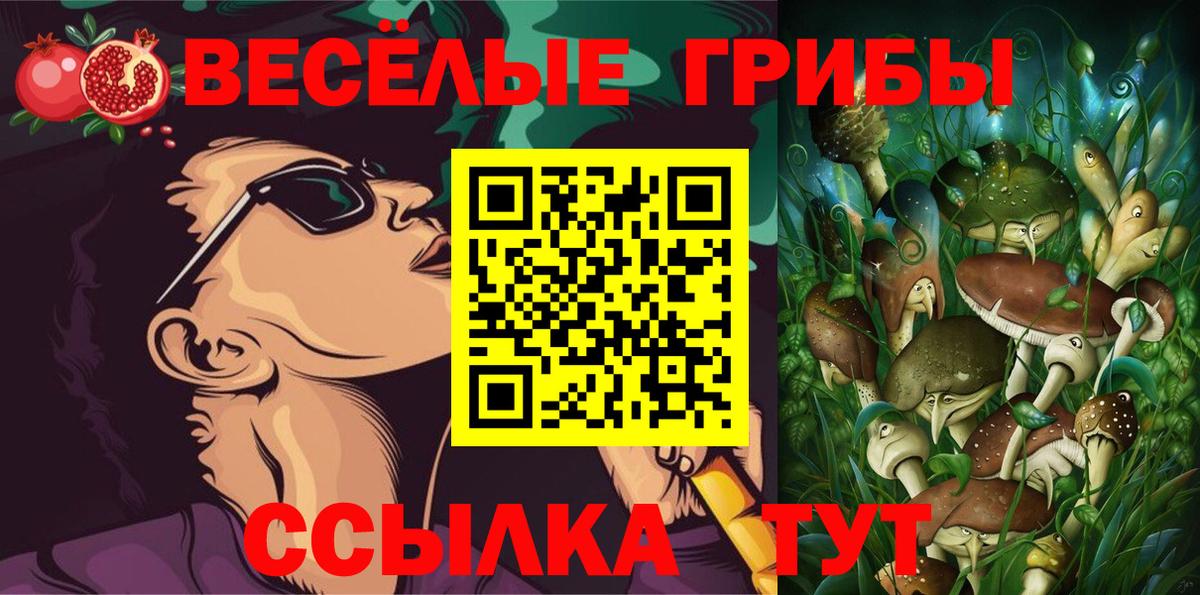 Галлюциногенные грибы ЛСД  Псилоцибиновые грибы Psilocybe  Вход с VPN  Осинники 